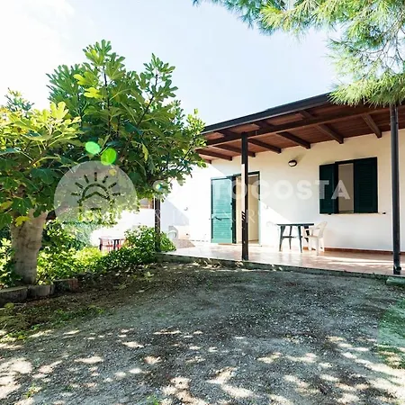 Zeus Villa