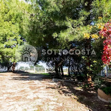 Villa Zeus Surbo